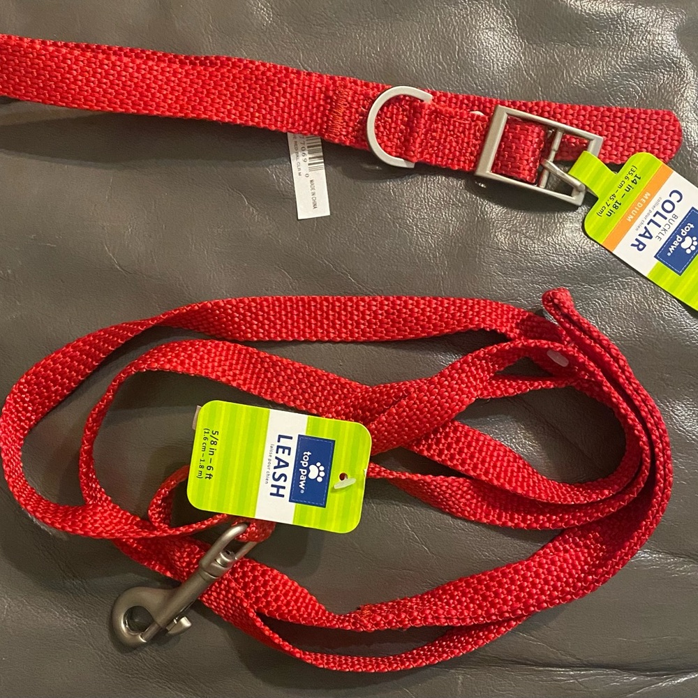 Dog leash & Medium size collar